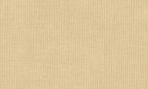 73080 Essentials Les Tricots | Tulle - Sand
