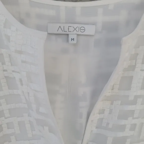 Alexis Francis white pleated embroidered white dress size Medium