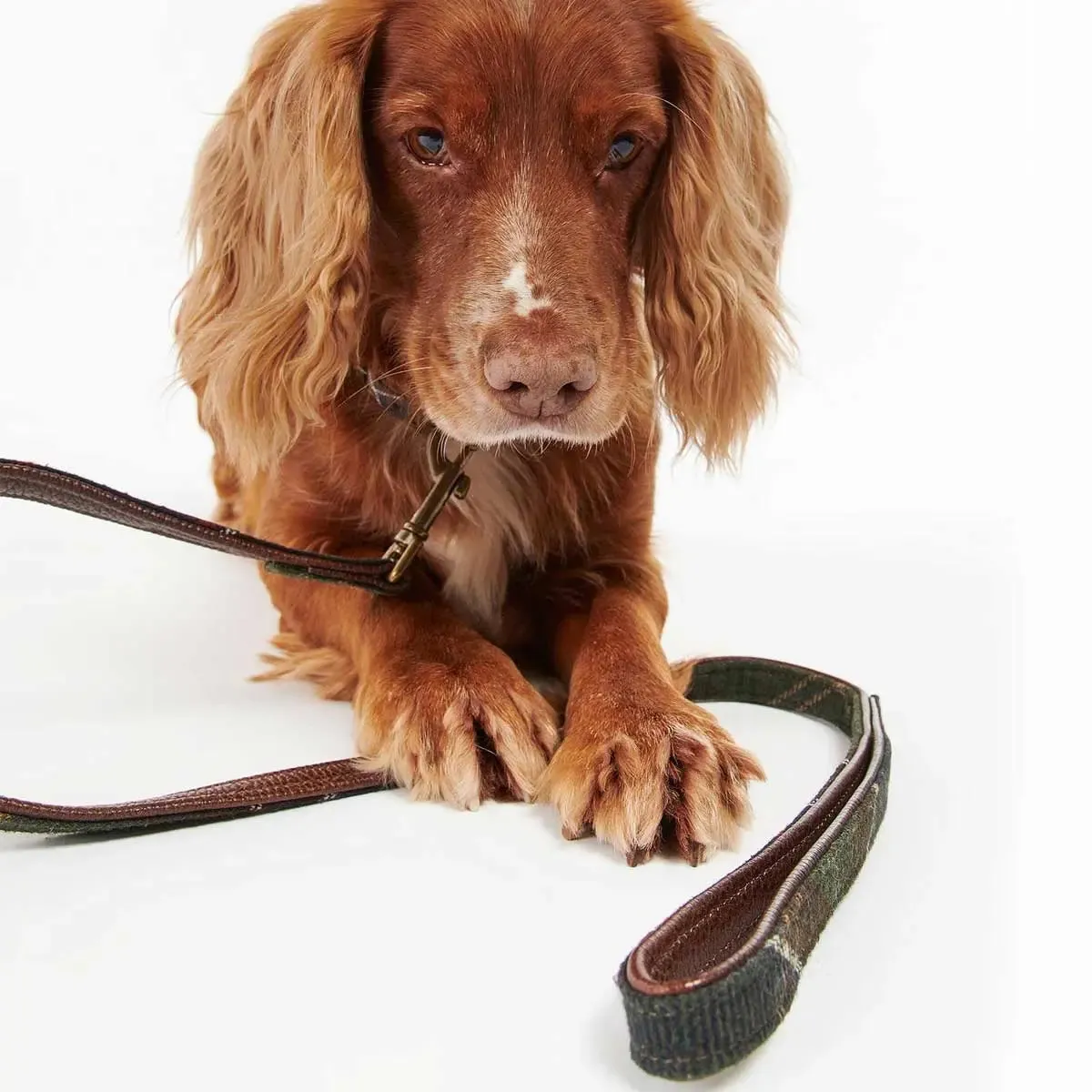 BARBOUR Classic Leather Dog Lead - Tartan