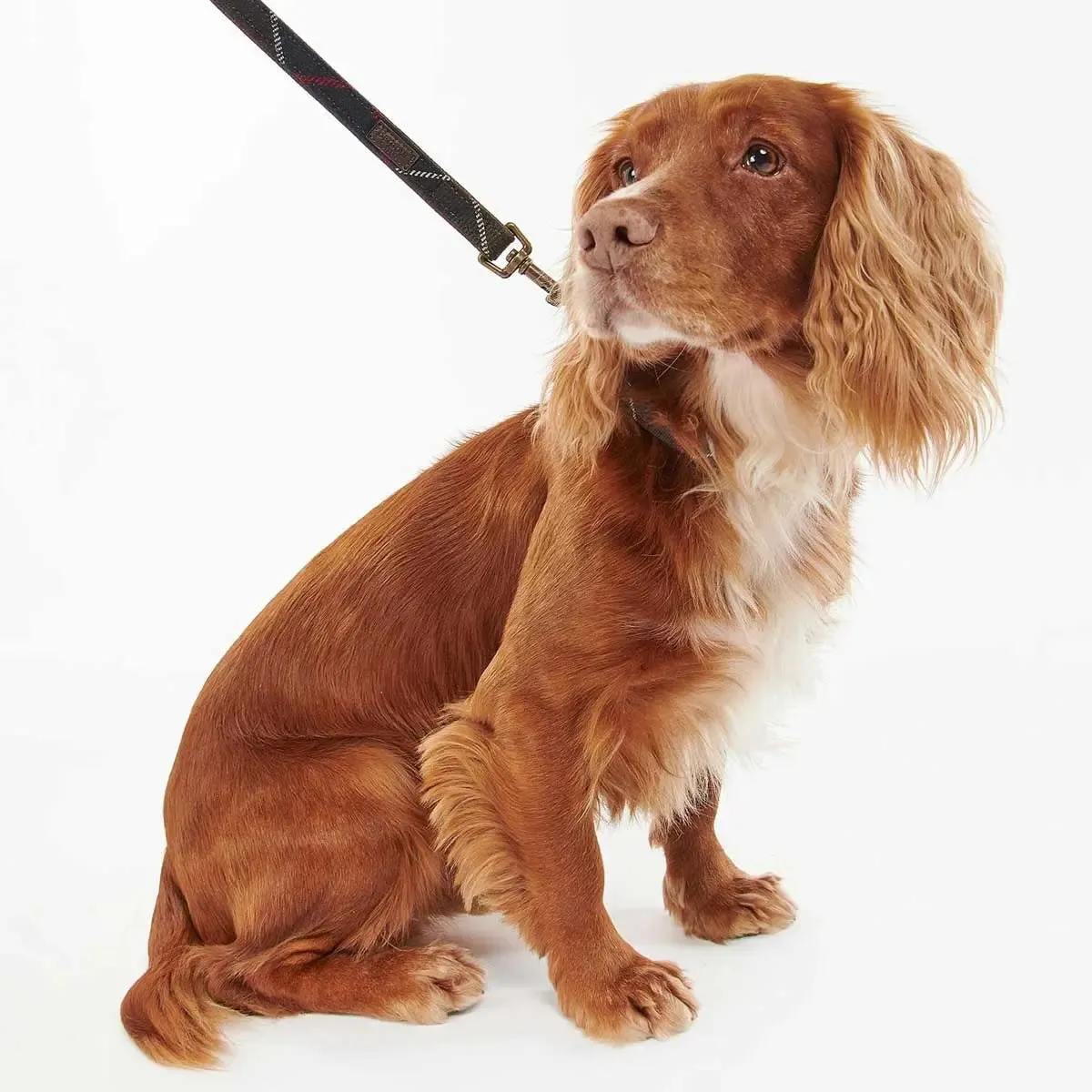BARBOUR Classic Leather Dog Lead - Tartan