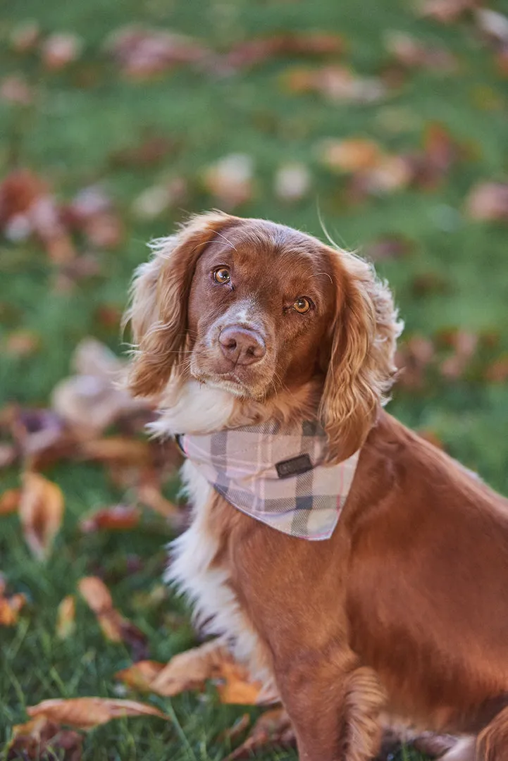 Barbour Dog Tartan Bandana