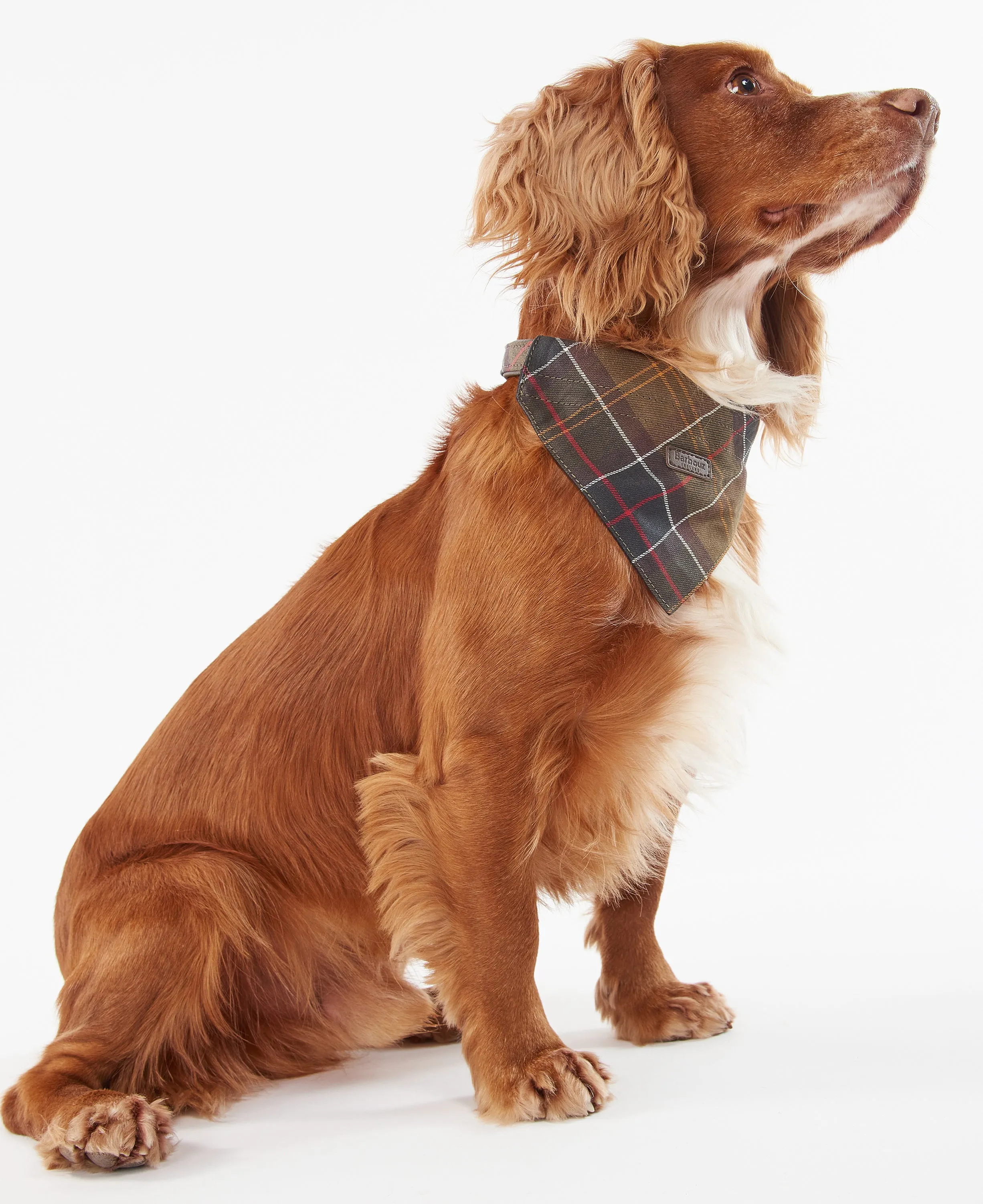 Barbour Dog Tartan Bandana
