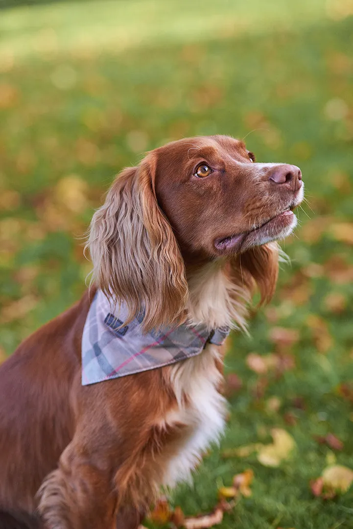 Barbour Dog Tartan Bandana