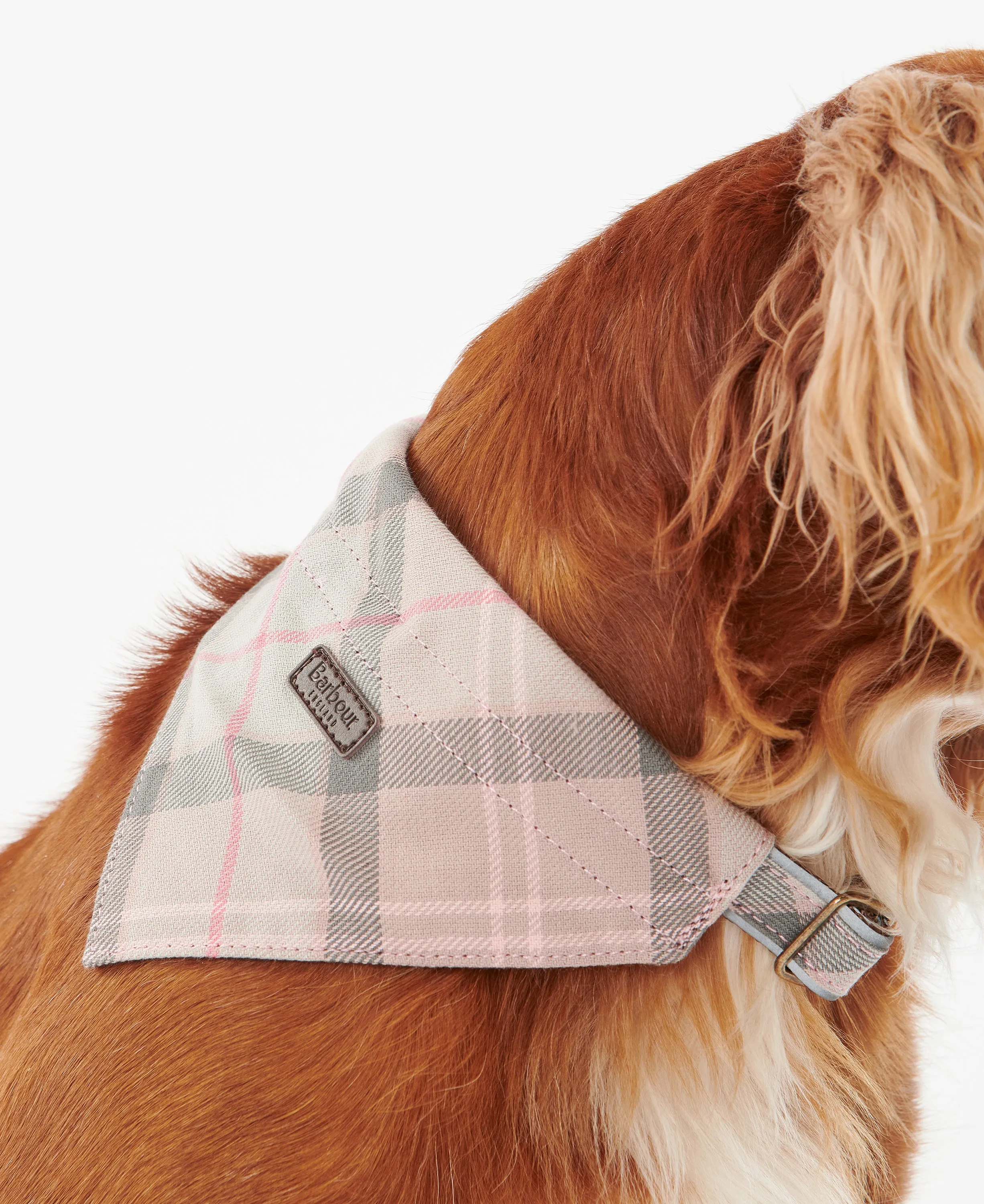 Barbour Dog Tartan Bandana