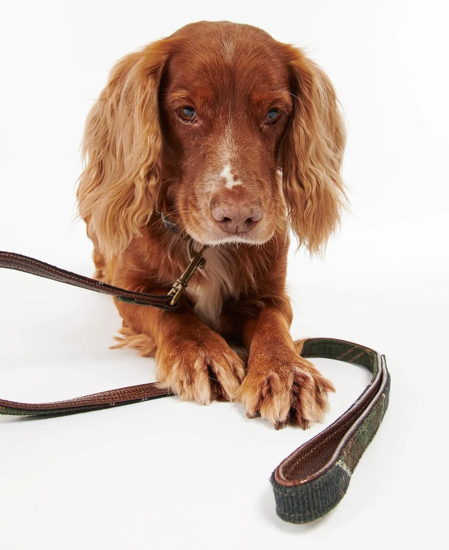 Barbour Tartan Leather Dog Leash