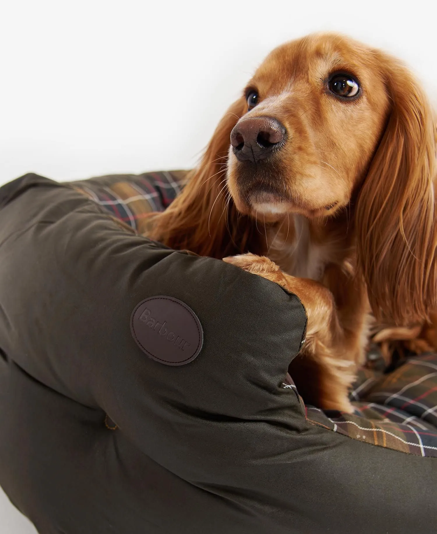 Barbour Waxed Cotton Dog Bed 35"