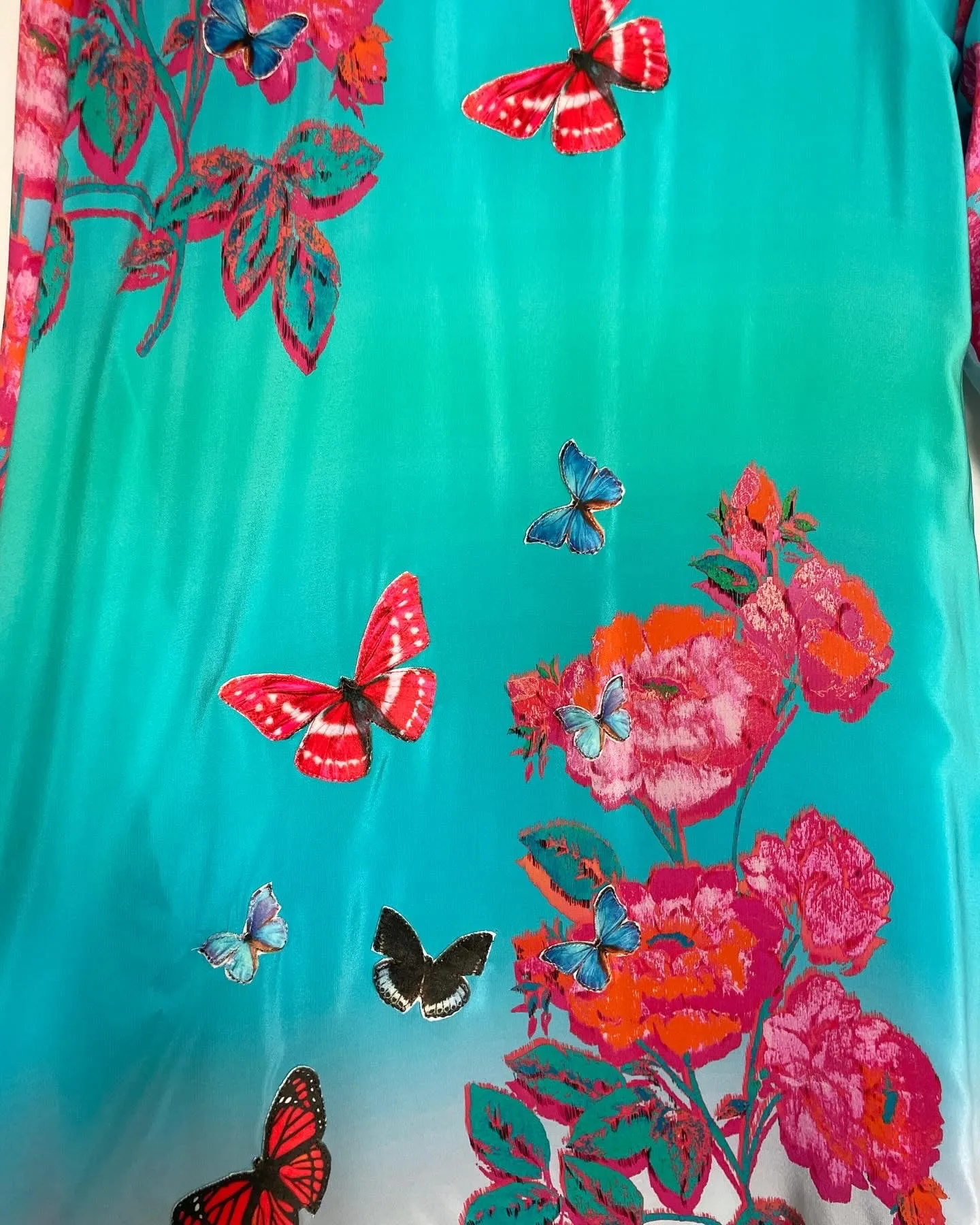 Blue and Pink Velvet Caftan with Butterfly Artwork