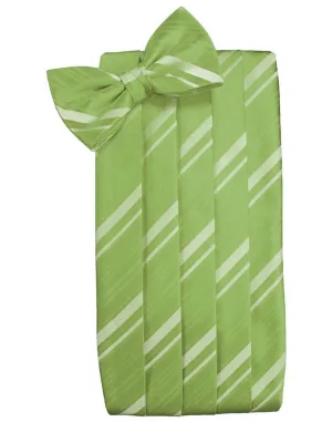 Clover Striped Satin Cummerbund