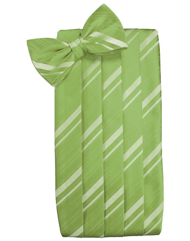 Clover Striped Satin Cummerbund
