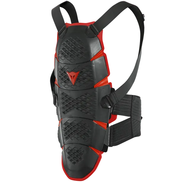 Dainese Pro-Speed Back Protection