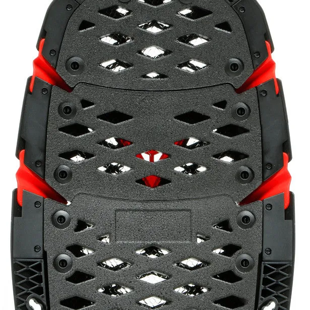 Dainese Pro-Speed Back Protection