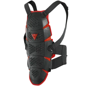 Dainese Pro-Speed Back Protection