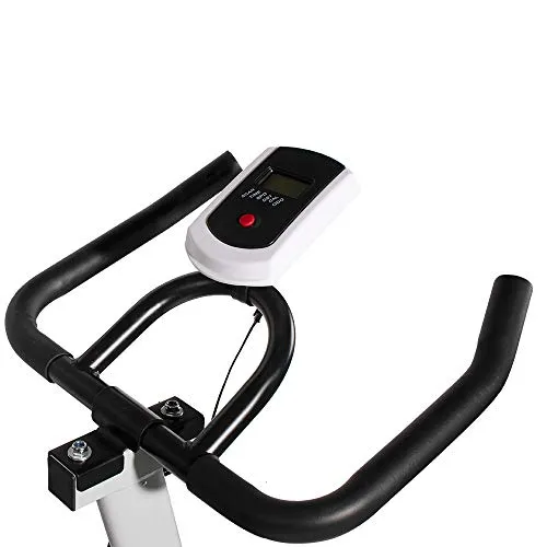 DOLPHY Acrylonitrile Butadiene Styrene Exercise Spin Bike, Red & Black