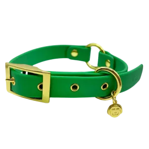 Ivy - Splashproof Dog Collar