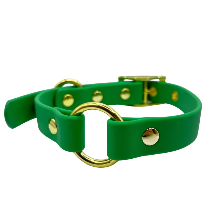 Ivy - Splashproof Dog Collar