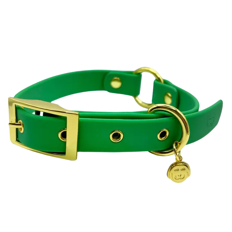 Ivy - Splashproof Dog Collar