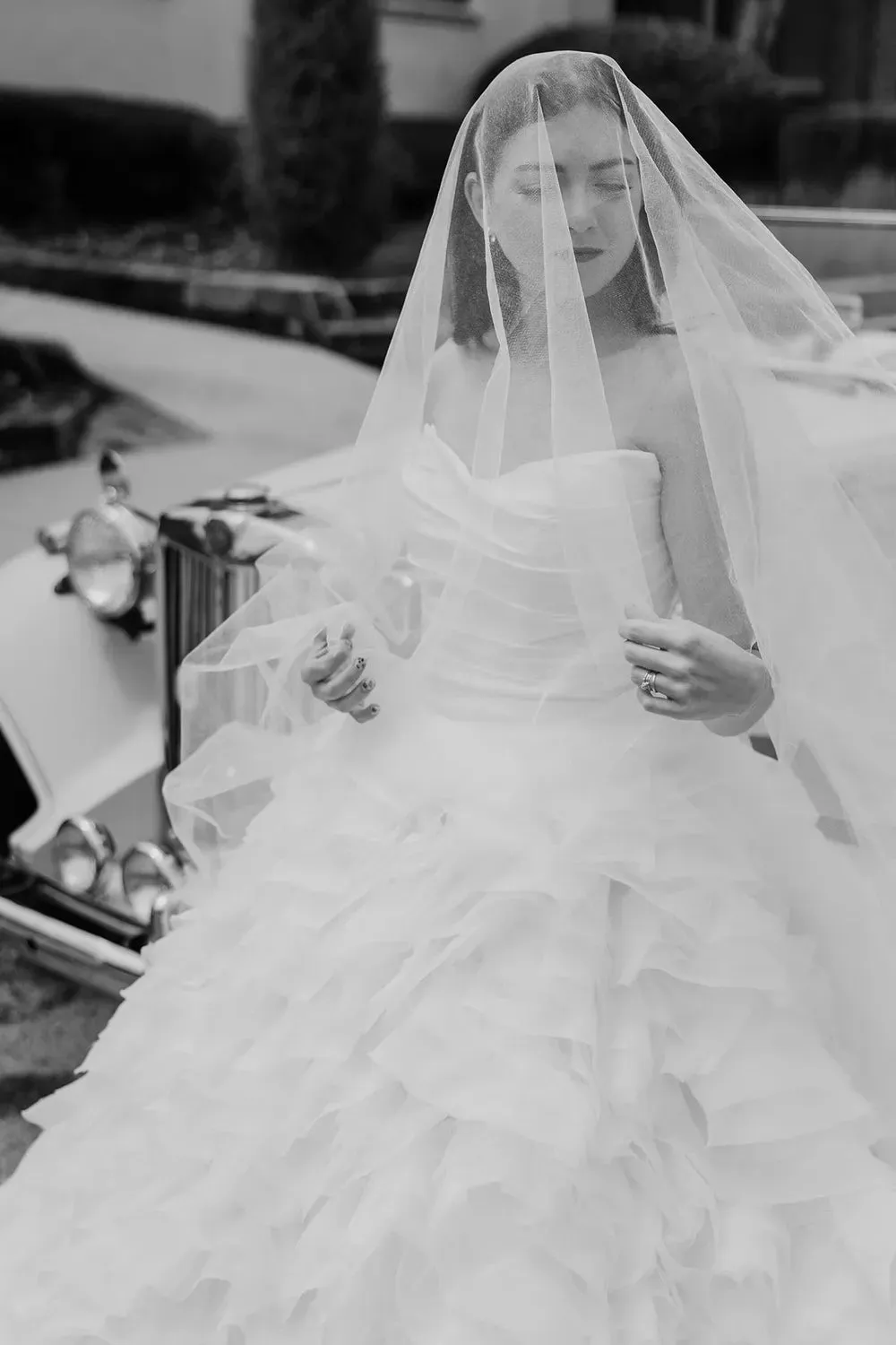LE1288-ZP with Veil