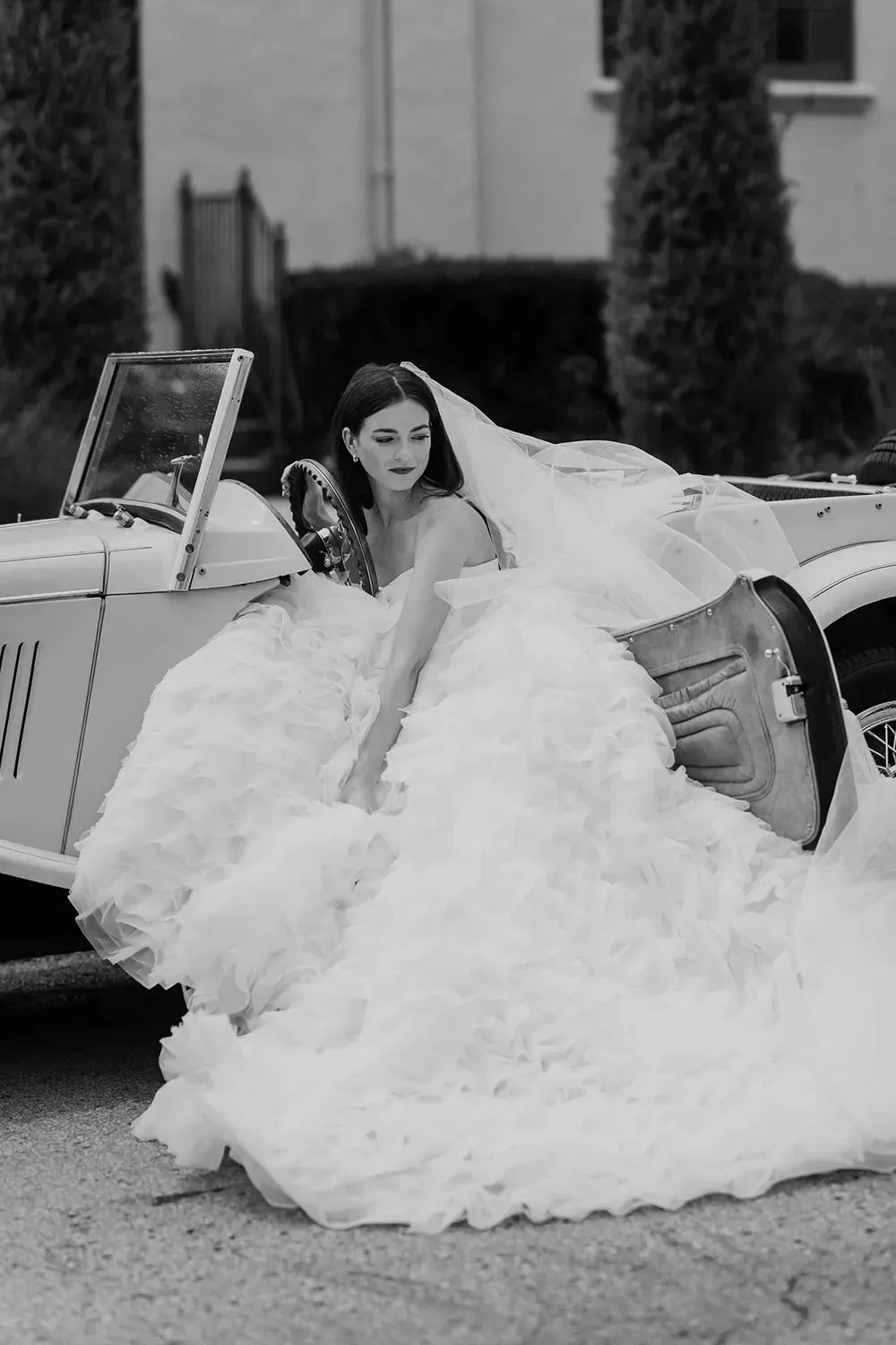 LE1288-ZP with Veil