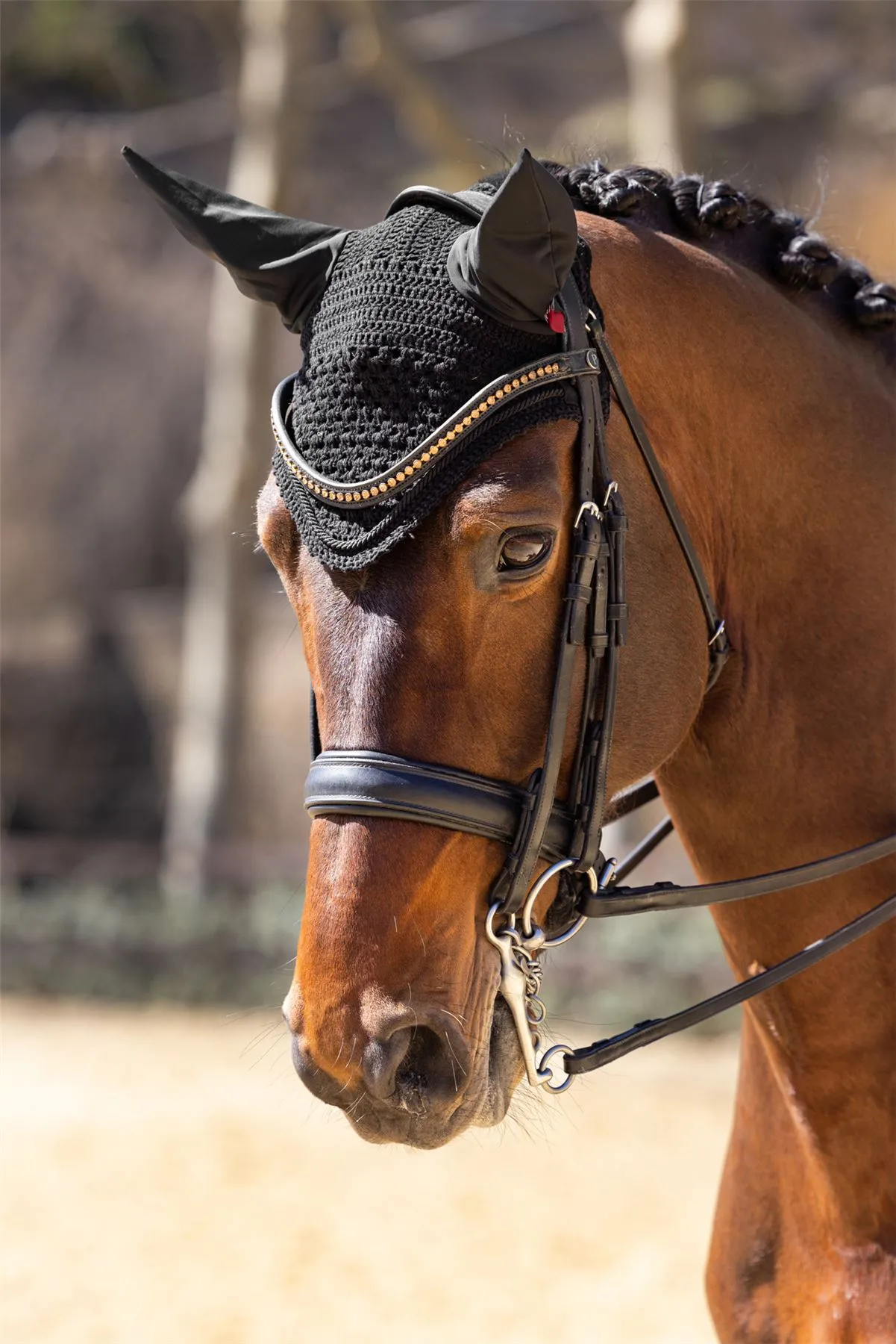 LeMieux Vogue Fly Hood
