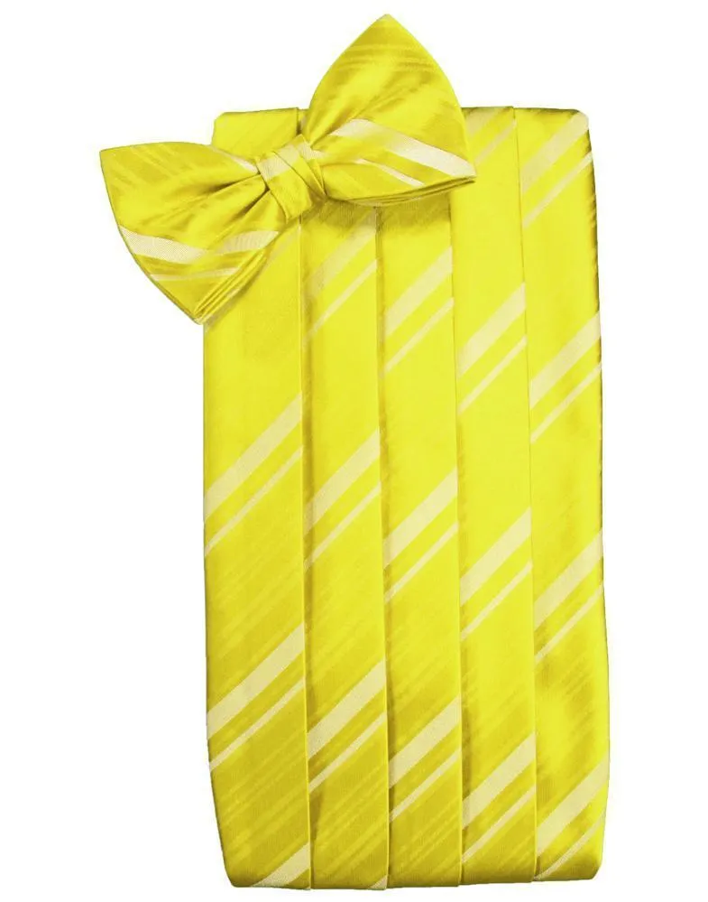 Lemon Kids Striped Satin Cummerbund