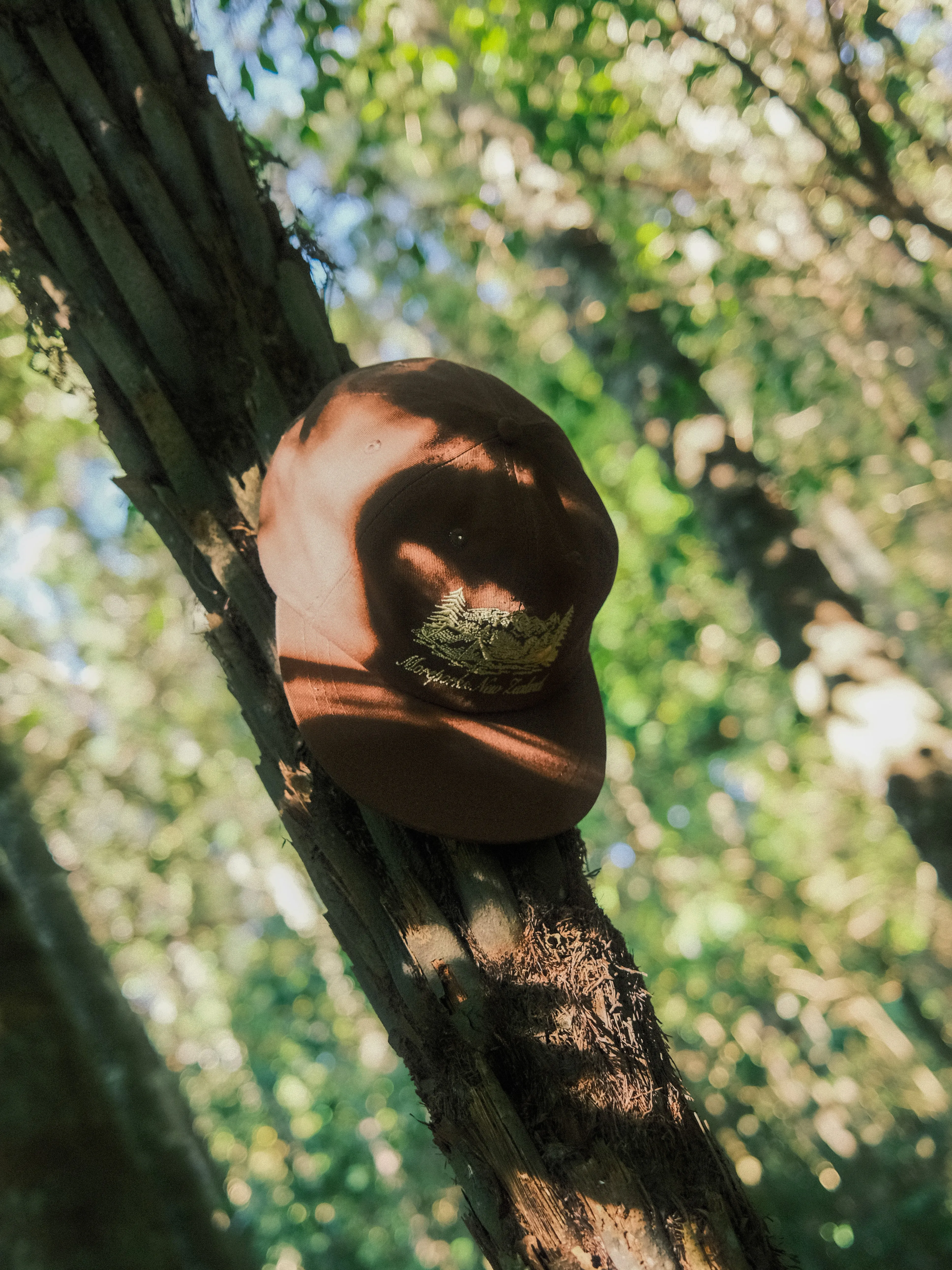 Mackenzie Six-Panel - Brown