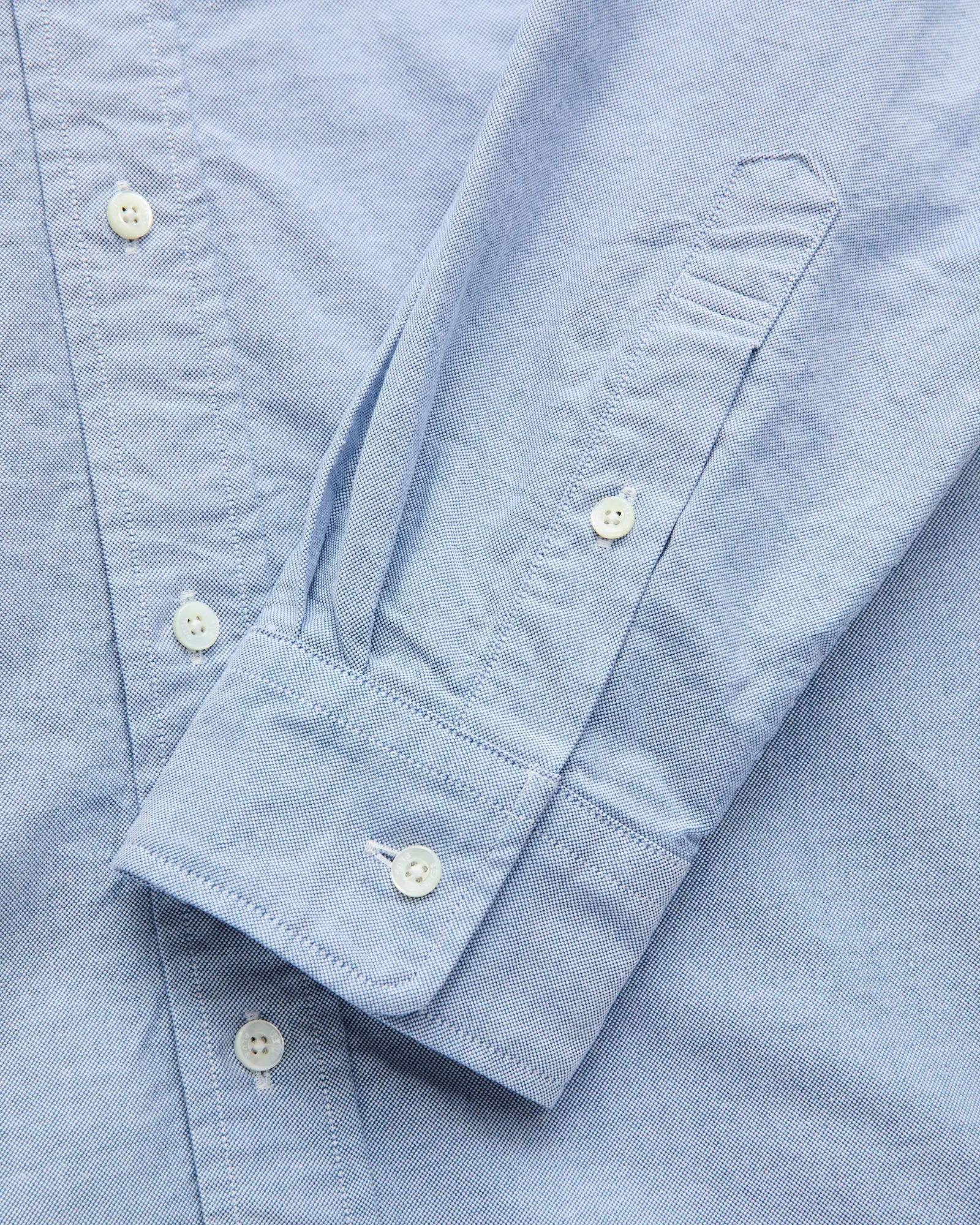 Oxford Button-Down Shirt in Blue