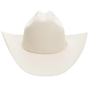 Stetson Felt Hat 6X Skyline Silverbelly