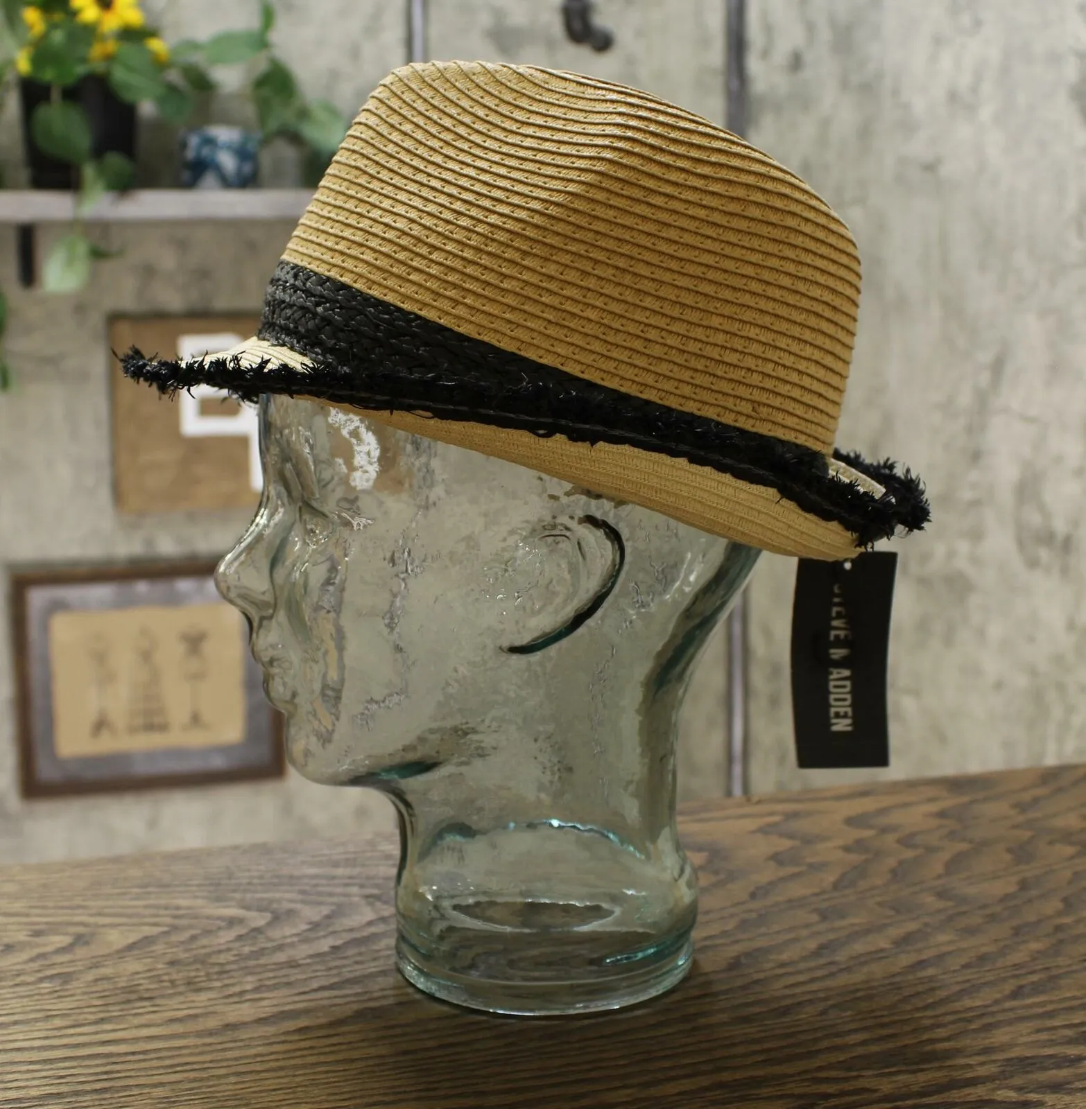 Steve Madden Women's Colorblocked Short Brim Fedora Hat
