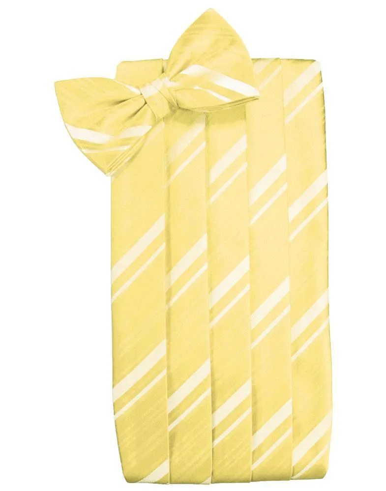 Sunbeam Striped Satin Cummerbund
