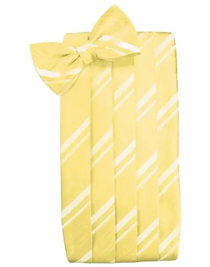 Sunbeam Striped Satin Cummerbund