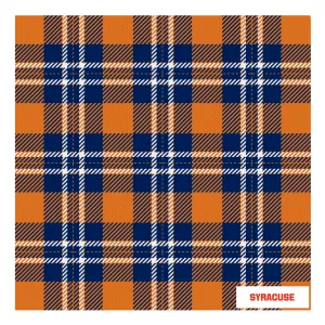 Syracuse Handkerchief Scarf