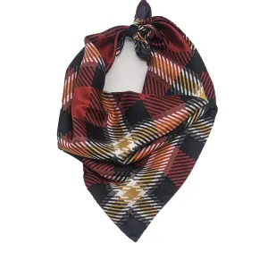 Union College Handkerchief Scarf